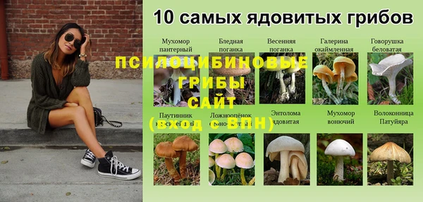 трава Алексин