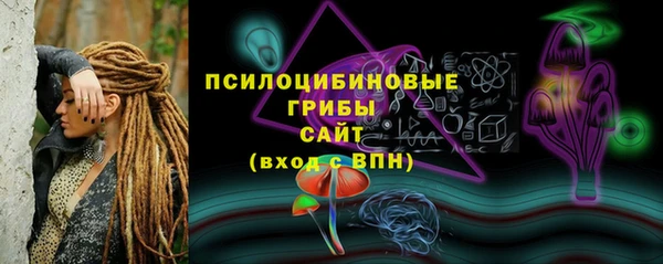 spice Алзамай