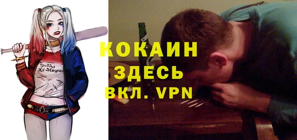 spice Алзамай