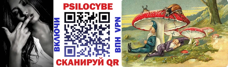 Псилоцибиновые грибы мицелий  где можно купить   Ефремов 